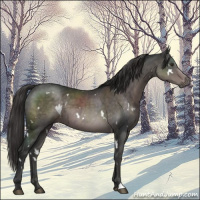 Horse Color:Platinum White Spotted Liver Chestnut 