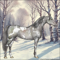 Horse Color:Platinum White Spotted Chocolate Palomino Dun 