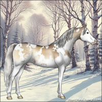 Horse Color:White Spotted Liver Red Dun Onyx Mushroom Sabino Splash 
