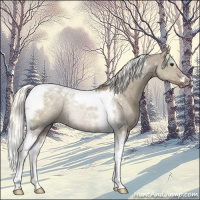 Horse Color:Liver Red Dun Mushroom Tobiano Rabicano 