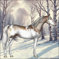 Horse Color:White Spotted Liver Red Onyx Mushroom Splash Frame Rabicano Brindle 