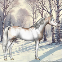 Horse Color:White Spotted Liver Red Onyx Pearl Mushroom Sabino Splash Frame 