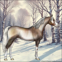 Horse Color:Liver Red Onyx Mushroom Sabino Rabicano Brindle 