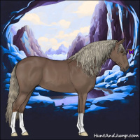 Horse Color:Liver Chestnut Mushroom 
