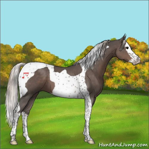 Horse Color:Silver Black Splash Tobiano 