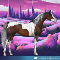 Horse Color:Liver Chestnut Splash Tobiano 