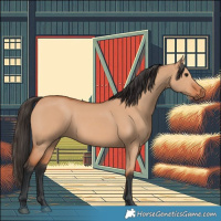 Horse Color:Bay Dun
