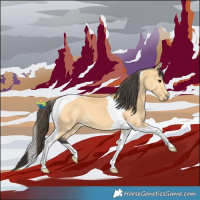 Horse Color:Buckskin Tobiano 
