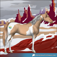 Horse Color:Red Dun Tobiano 