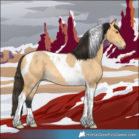 Horse Color:Buckskin Roan Dun Tobiano 