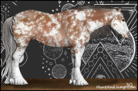 Horse Color:Bay Sabino Rabicano