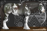 Horse Color:Liver Chestnut Sabino Rabicano 