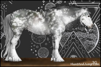 Horse Color:Gray Brown Sabino Rabicano