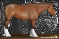 Horse Color:Brown Sabino