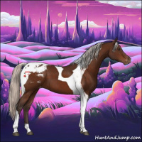 Horse Color:Silver Brown Tobiano Appaloosa 