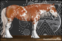 Horse Color:Silver Brown Sabino 