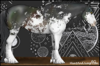 Horse Color:Brown Sabino 