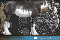 Horse Color:White Spotted Liver Chestnut Rabicano 