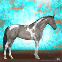 Horse Color:Smoky Grullo Roan Tobiano  and Grullo Roan Tobiano 