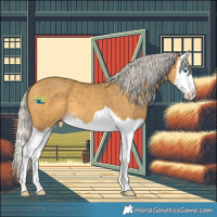 Horse Color:Silver Amber Cream Champagne Splash 