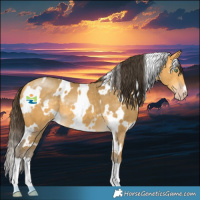 Horse Color:White Spotted Amber Cream Champagne 