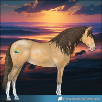 Horse Color:Sable Cream Champagne 