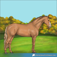 Horse Color:Chestnut  and Chestnut Frame 