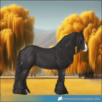 Horse Color:Smoky Black Splash 