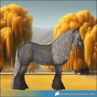 Horse Color:Gray Silver Blue Roan 