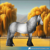 Horse Color:Gray Blue Roan Splash 