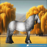 Horse Color:Gray Brown 