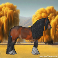 Horse Color:Brown Tobiano  and Brown Tobiano 