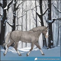 Horse Color:Silver Blue Roan Splash 