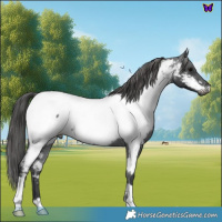 Horse Color:Blue Roan Near Fewspot 