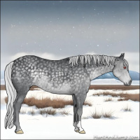 Horse Color:Silver Black Chinchilla 