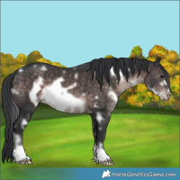 Horse Color:Platinum White Spotted Brown Frame 