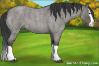 Horse Color:Platinum Grullo Roan Splash 