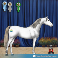 Horse Color:Buckskin Roan Near Fewspot Rabicano 