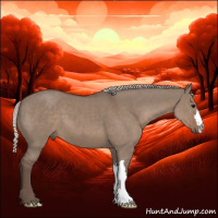 Horse Color:Silver Grullo 