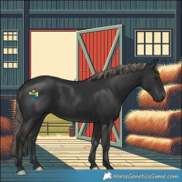 Horse Color:Liver Chestnut Mushroom 