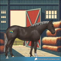 Horse Color:Liver Chestnut Mushroom 