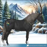 Horse Color:Liver Chestnut Mushroom 