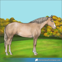 Horse Color:Chocolate Palomino Pearl Rabicano 