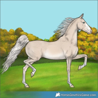 Horse Color:Cremello Rabicano