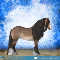 Horse Color:Bay Dun Sabino Rabicano 