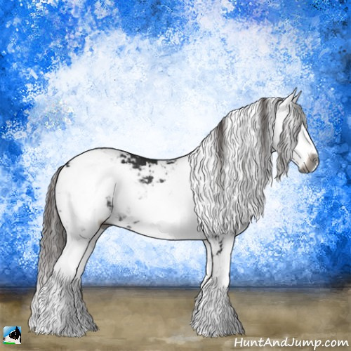 Horse Color:Gray Liver Chestnut Sabino Rabicano 