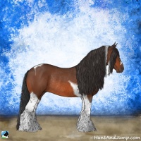 Horse Color:Brown Tobiano Rabicano