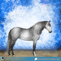 Horse Color:Gray Liver Chestnut Rabicano 