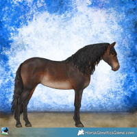 Horse Color:Brown Rabicano 