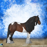 Horse Color:Brown Tobiano Rabicano